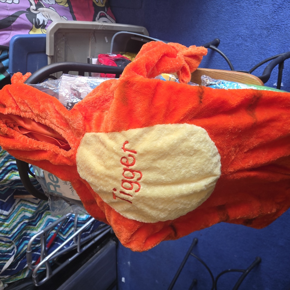 Disney Orange Plush Costume